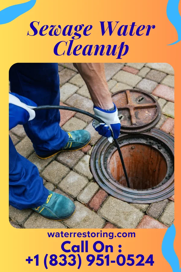 Sewage Water Cleanup in Garden Grove, IA